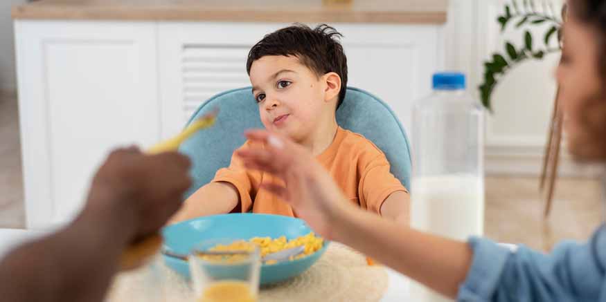 The Art of Feeding Toddlers A Parents Guide to Nutritional Success