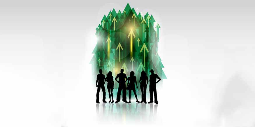 Exploring Different Career Paths in the Green Economy