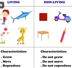 living_and_non_living